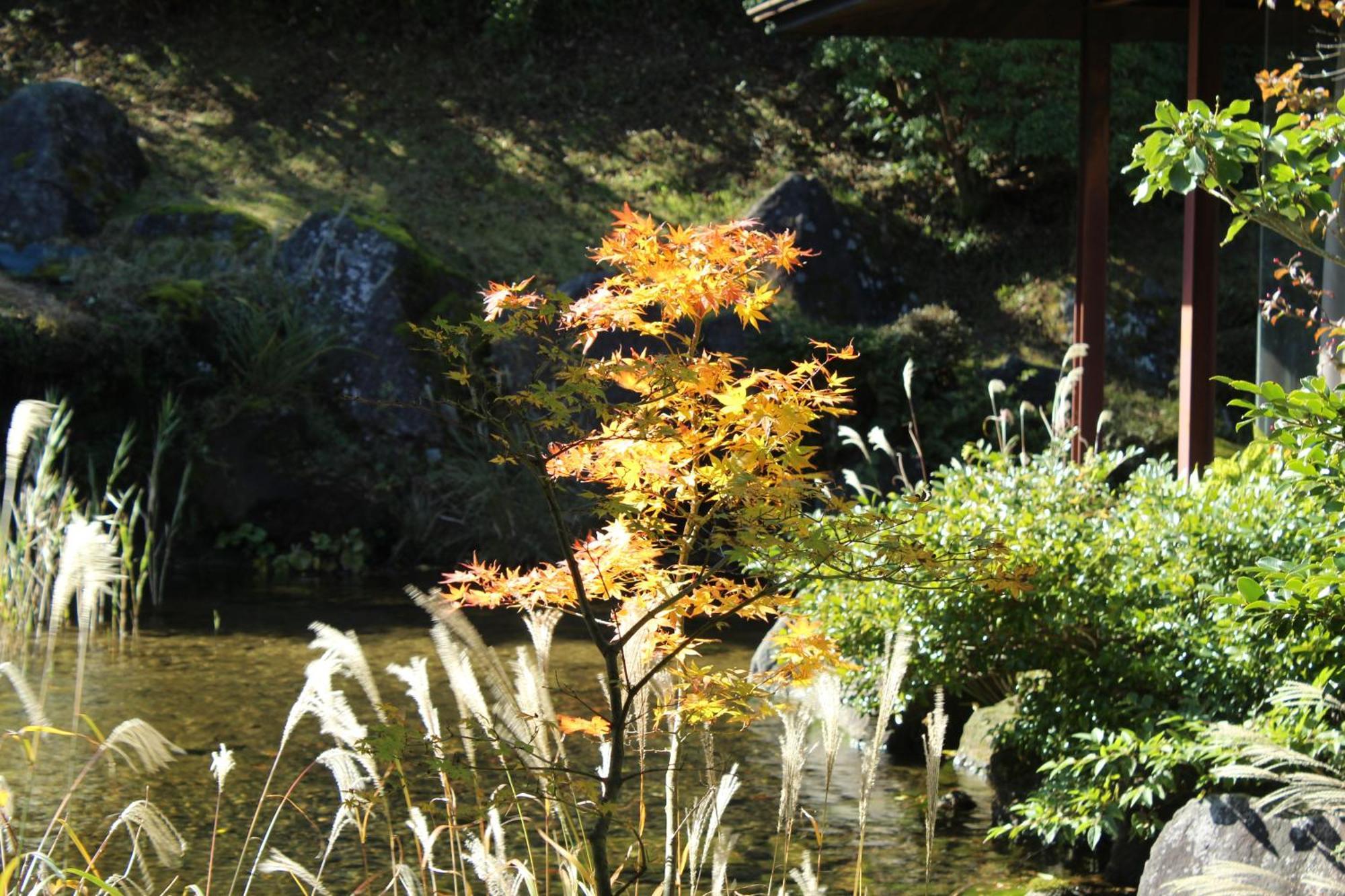 Hakone Yunohana Prince Hotel Kanagawa Exterior photo